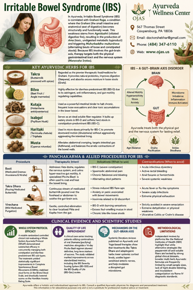 IBS – Irritable Bowel Syndrome