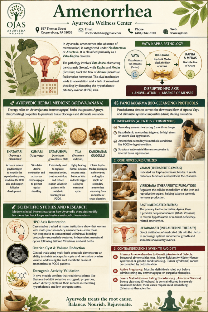 Amenorrhea