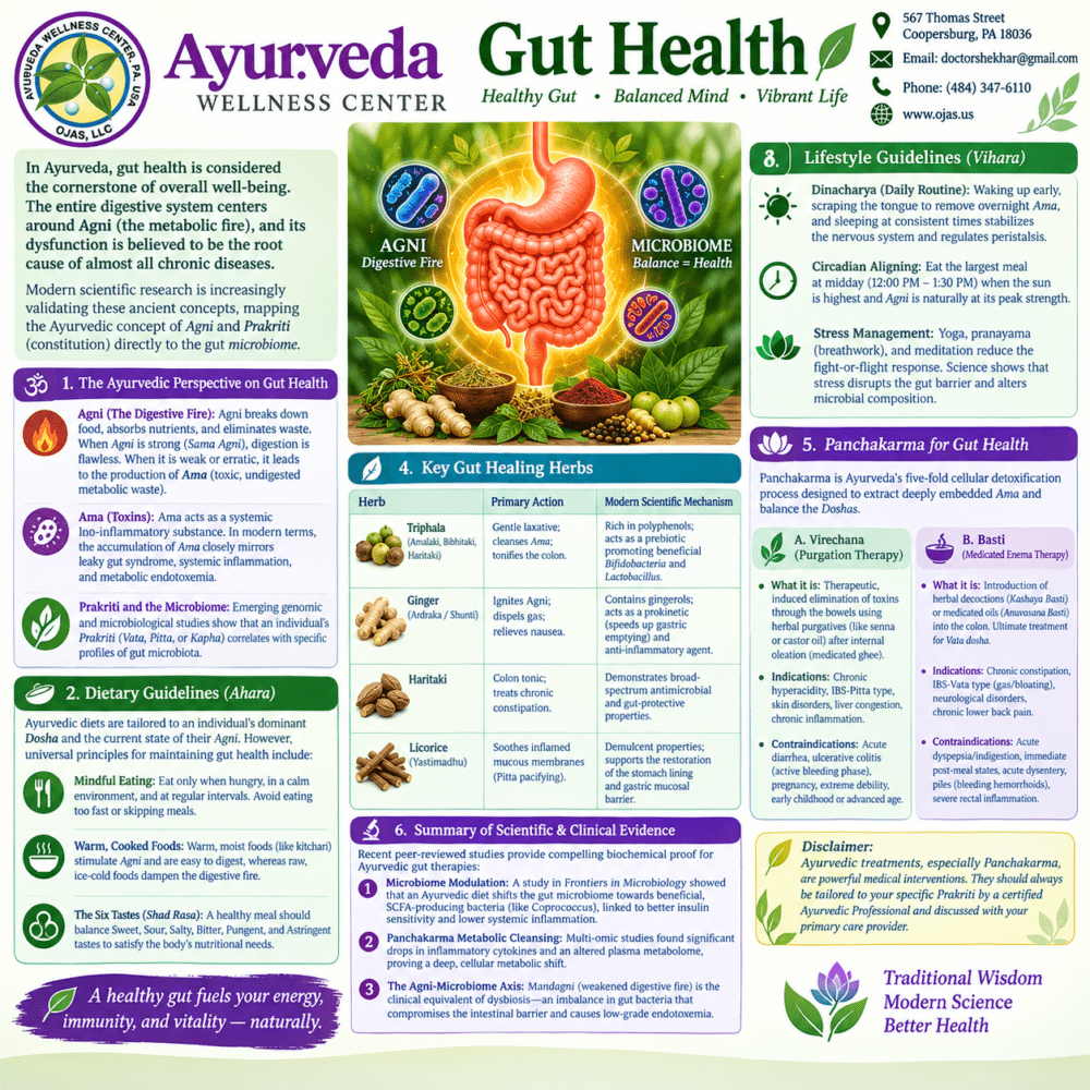 Gut Health